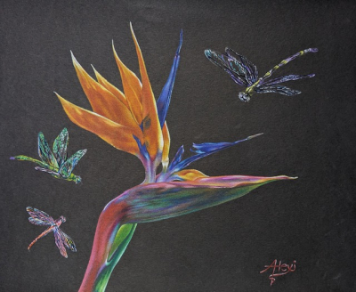 Colored Pencils Blooming on Black Paper